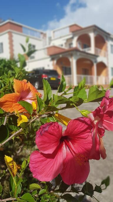 St. George'S Holiday Studio Vacation Of A Lifetime Fontenoy Luaran gambar