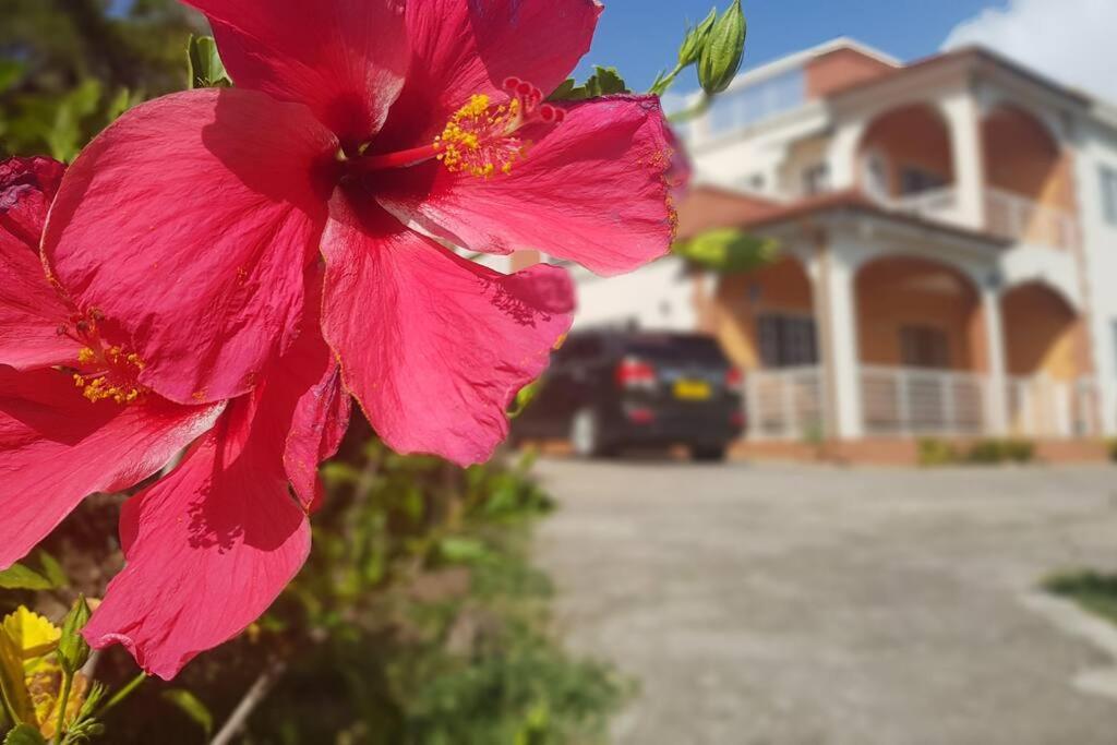 St. George'S Holiday Studio Vacation Of A Lifetime Fontenoy Luaran gambar